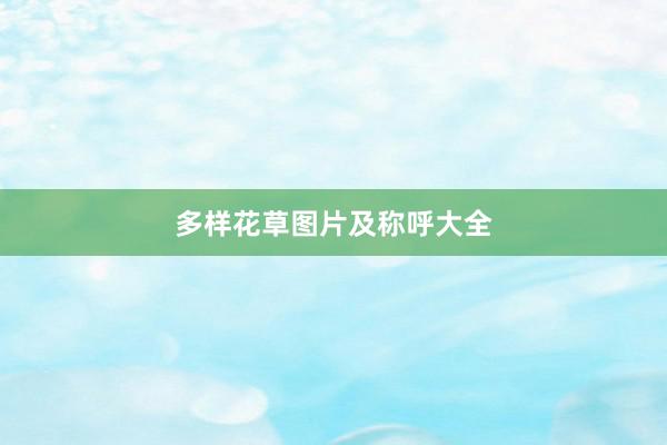 多样花草图片及称呼大全